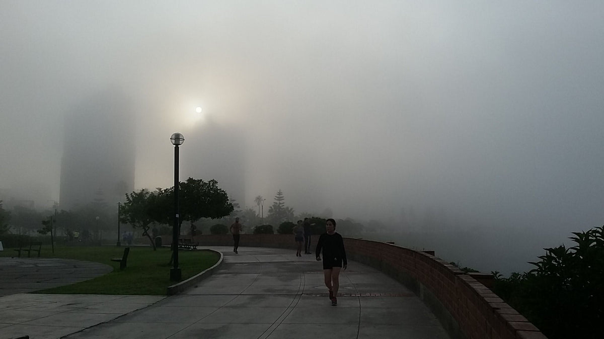 Guía de estilo para días nublados: Combinaciones perfectas para la neblina y humedad