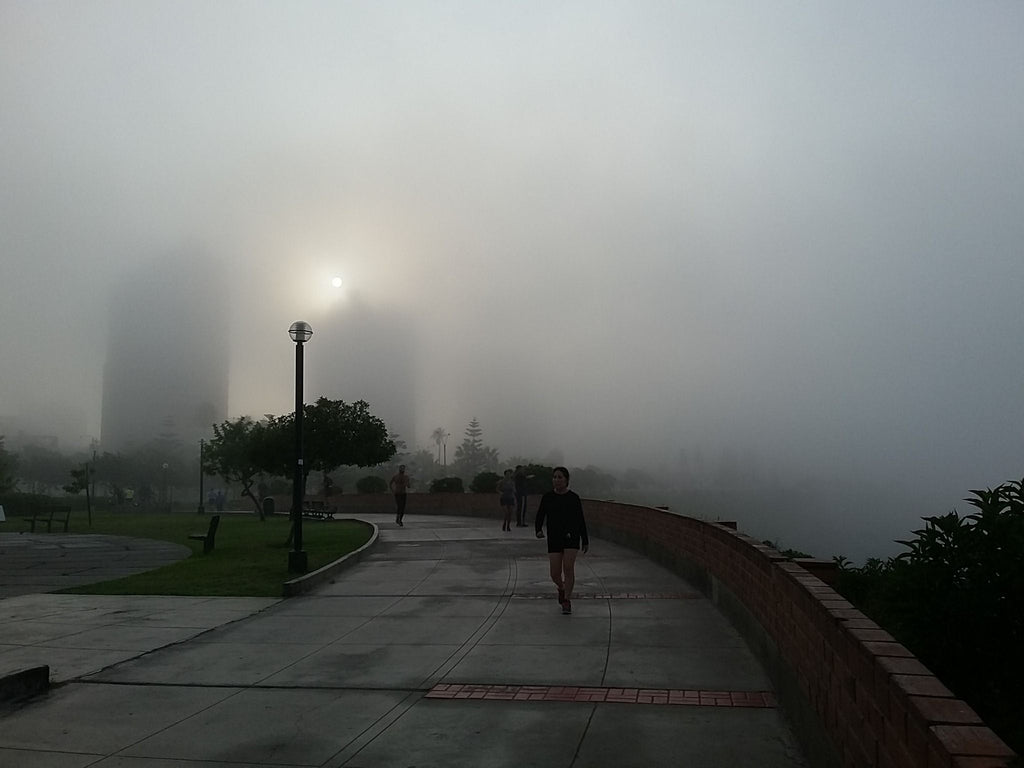 Guía de estilo para días nublados: Combinaciones perfectas para la neblina y humedad